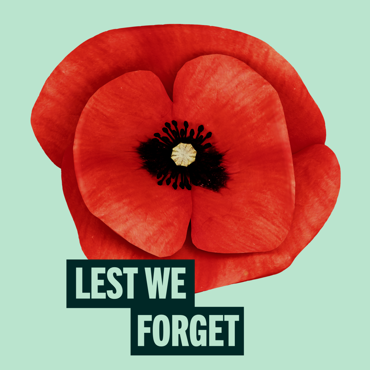 Lest We Forget