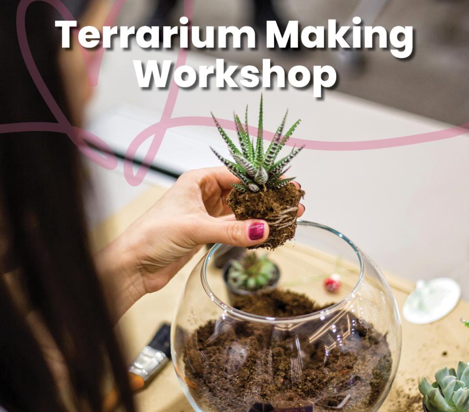 Terrarium Making Workshop